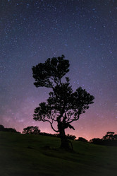 Similar image 21980161