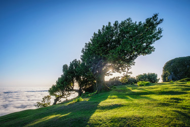 Similar image 21980163