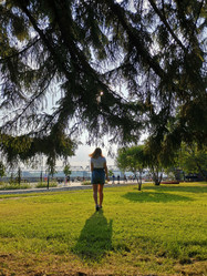 Similar image 21977799