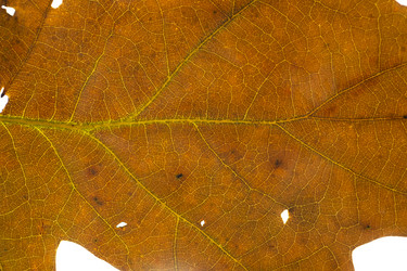 Similar image 21987960