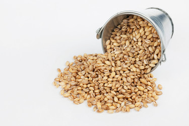 Similar image 21988323