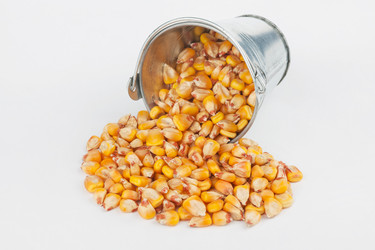 Similar image 21988326