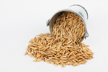 Similar image 21988327