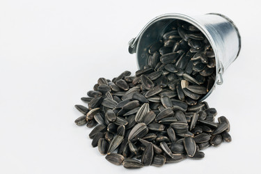 Similar image 21988330