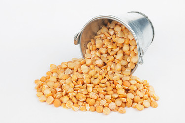 Similar image 21988335