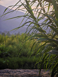 Similar image 21977974