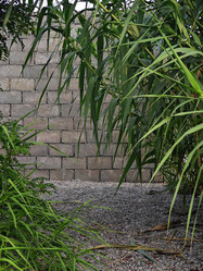 Similar image 21977975