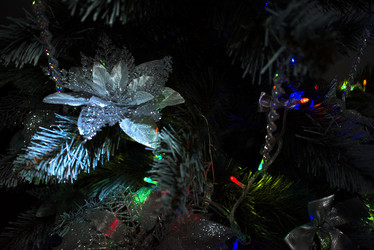 Similar image 21978792