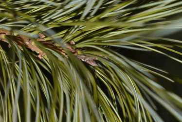 Similar image 21978796