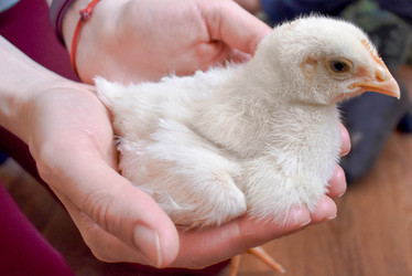 Similar image 21978799