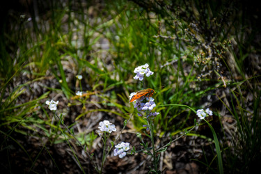 Similar image 21978980