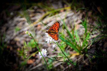 Similar image 21978981