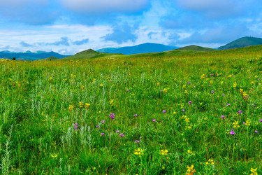 Similar image 21978982