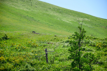 Similar image 21978992