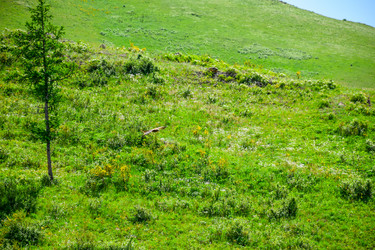 Similar image 21978994