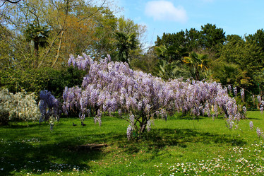 Similar image 21978550