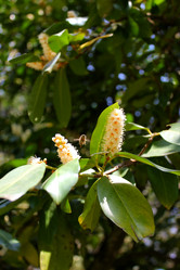 Similar image 21978802