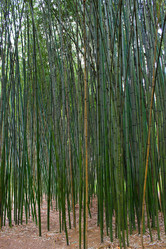 Similar image 21978804