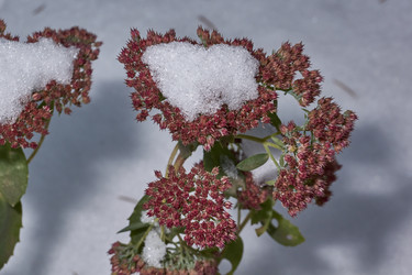 Similar image 21978123