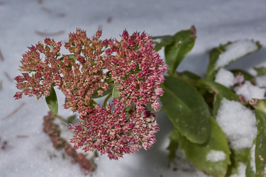 Similar image 21978124