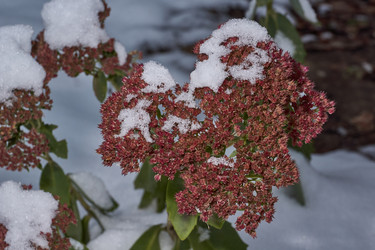 Similar image 21978125