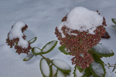 Similar image 21978126