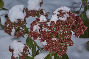 Similar image 21978127