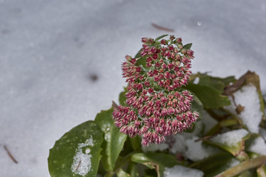 Similar image 21978128