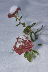 Similar image 21978129