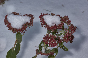 Similar image 21978130