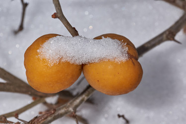 Similar image 21978131