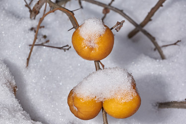 Similar image 21978132