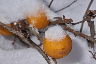 Similar image 21978133