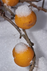 Similar image 21978134