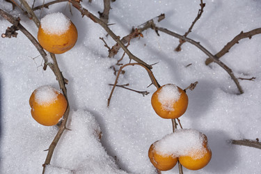 Similar image 21978135