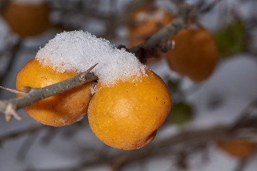 Similar image 21978136