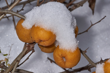 Similar image 21978137