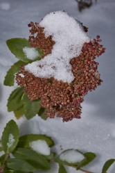 Similar image 21978138