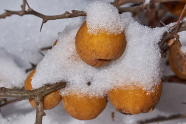 Similar image 21978140