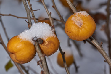 Similar image 21978141