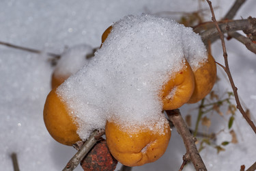 Similar image 21978142