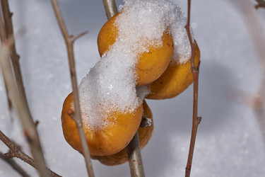 Similar image 21978143