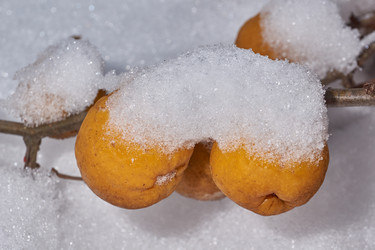 Similar image 21978144