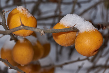 Similar image 21978145