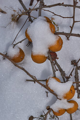 Similar image 21978146