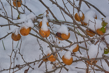 Similar image 21978147