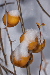 Similar image 21978148