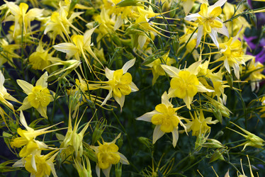 Similar image 21979000