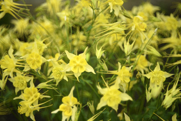 Similar image 21979001