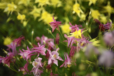 Similar image 21979002